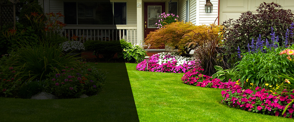 Pilot Mountain Landscapers